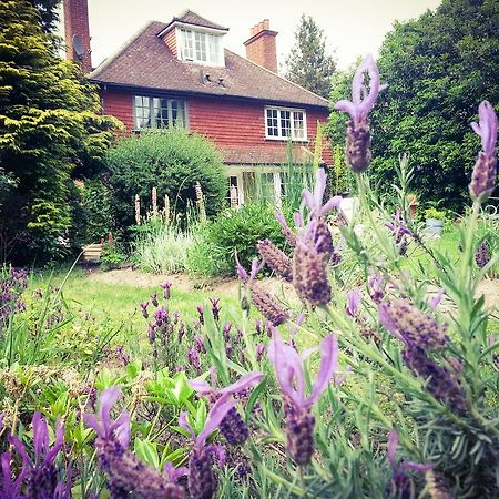 Rosemead Guest House Claygate Esterno foto