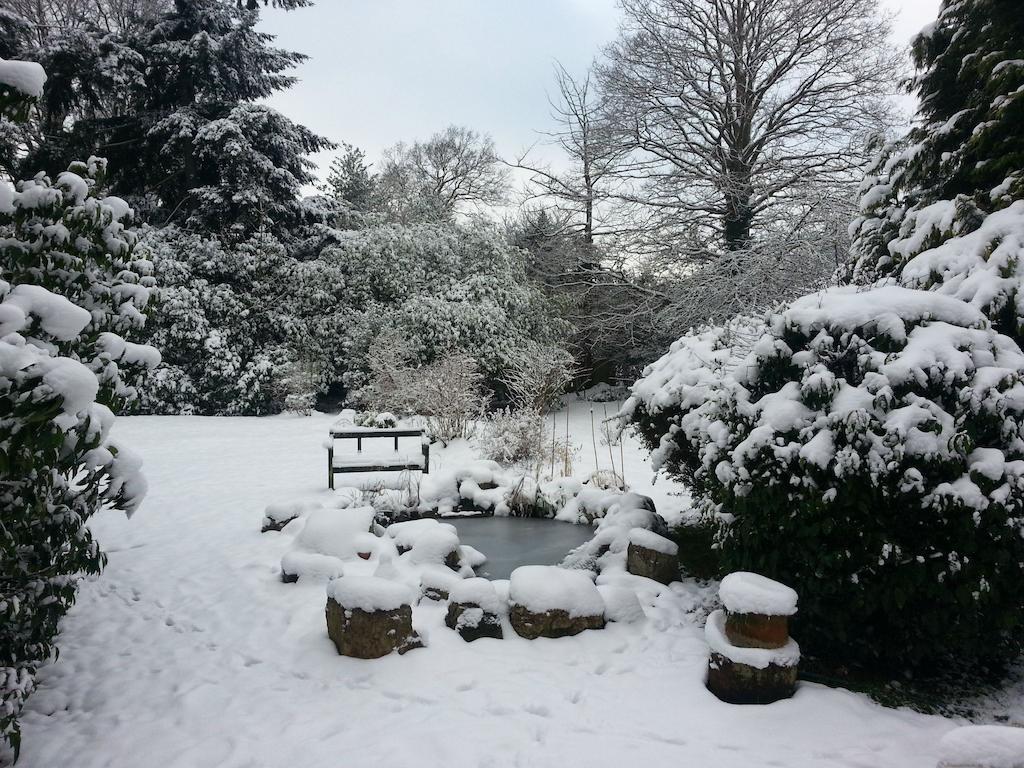 Rosemead Guest House Claygate Esterno foto