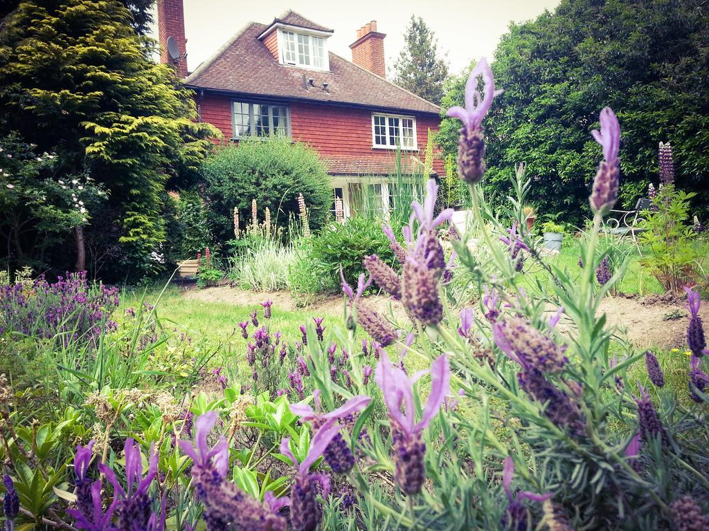 Rosemead Guest House Claygate Esterno foto